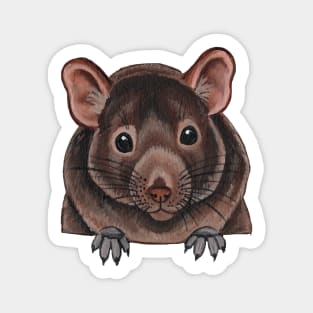 Degu Sticker